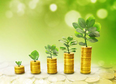 Mutual Fund